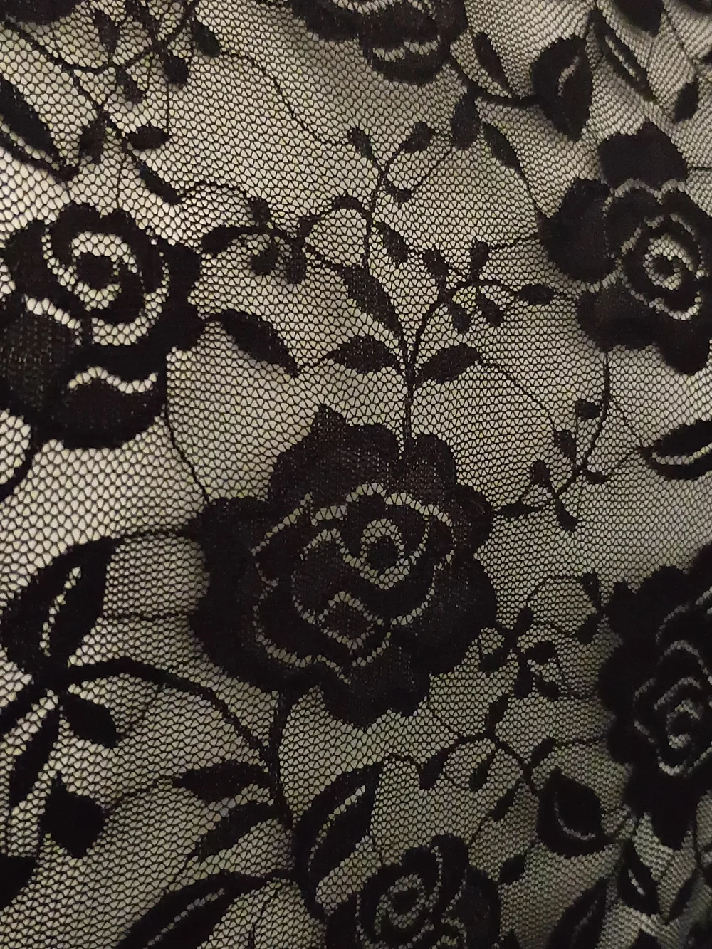 Men's Black Lace Brief-Style Tank - Sheer Floral Mesh